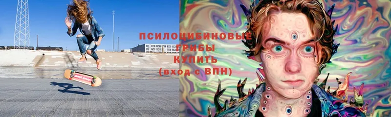 Псилоцибиновые грибы Cubensis  Кадников 